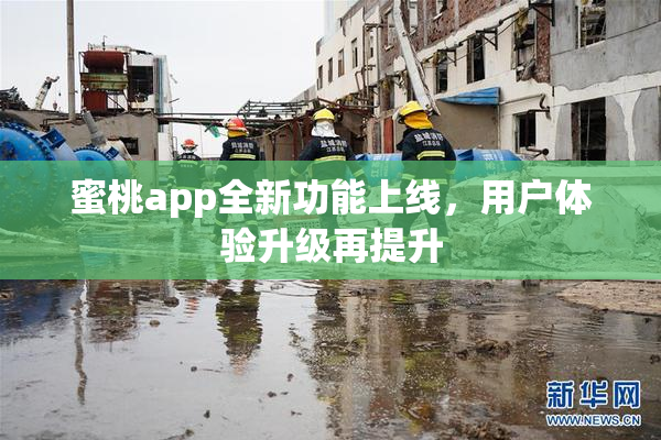 蜜桃app全新功能上线，用户体验升级再提升
