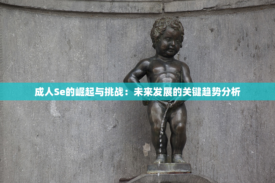 成人Se的崛起与挑战：未来发展的关键趋势分析