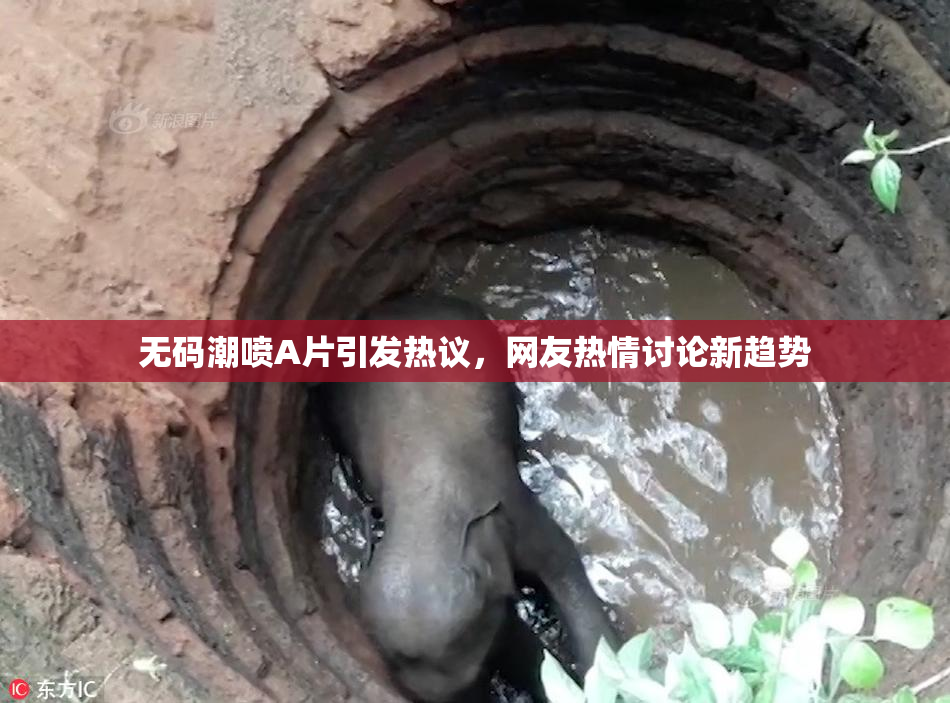 无码潮喷A片引发热议，网友热情讨论新趋势