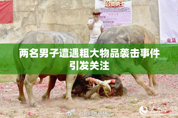 两名男子遭遇粗大物品袭击事件引发关注