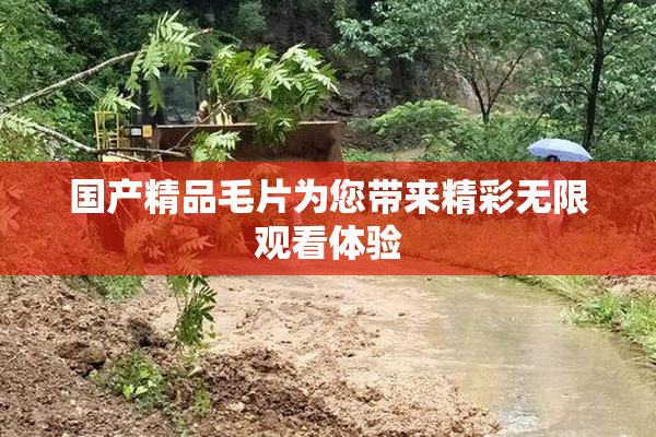 国产精品毛片为您带来精彩无限观看体验