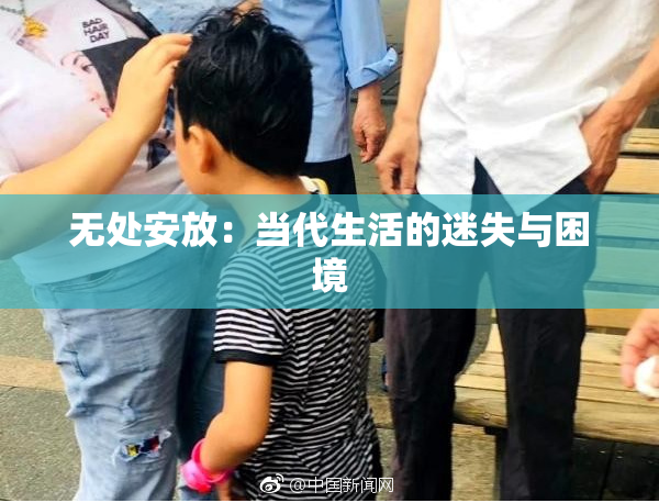 无处安放：当代生活的迷失与困境