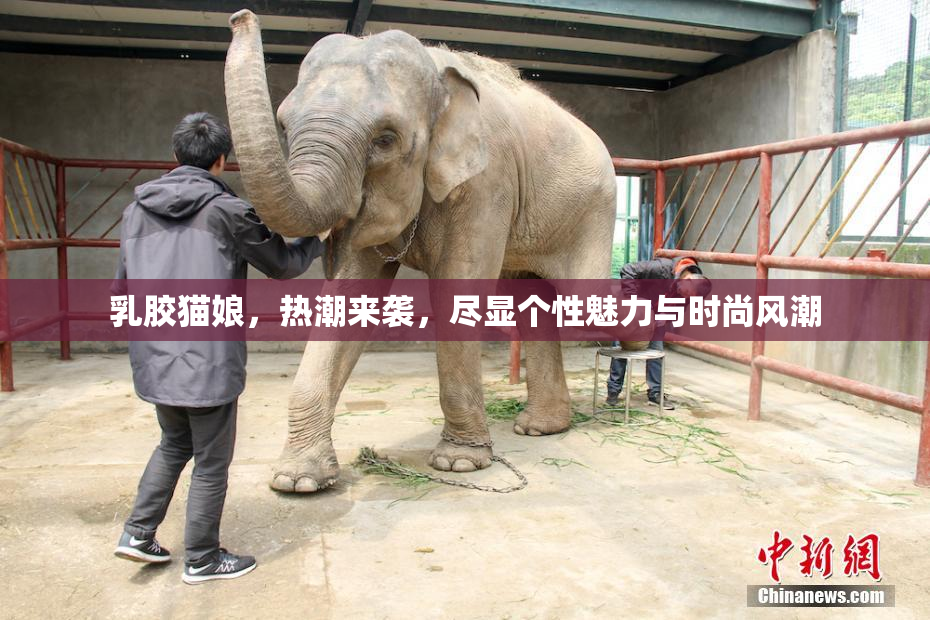 乳胶猫娘，热潮来袭，尽显个性魅力与时尚风潮