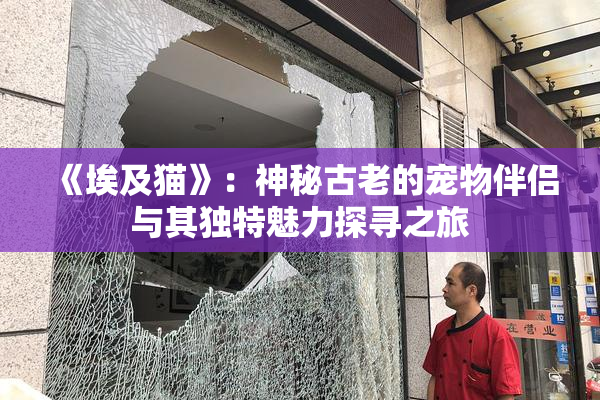 《埃及猫》：神秘古老的宠物伴侣与其独特魅力探寻之旅
