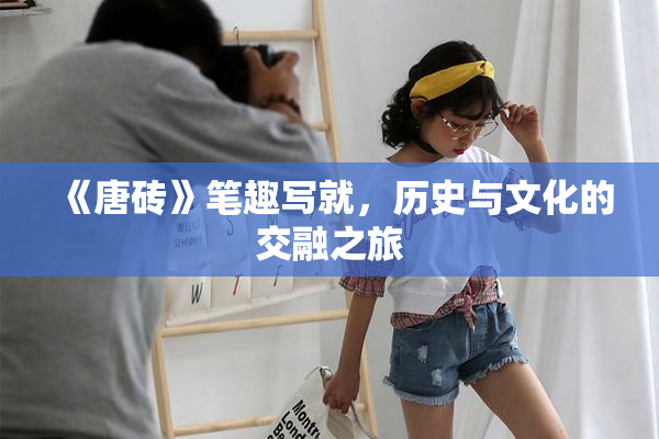 《唐砖》笔趣写就，历史与文化的交融之旅
