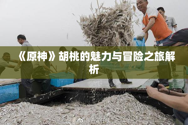 《原神》胡桃的魅力与冒险之旅解析
