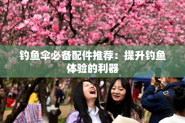 钓鱼伞必备配件推荐：提升钓鱼体验的利器