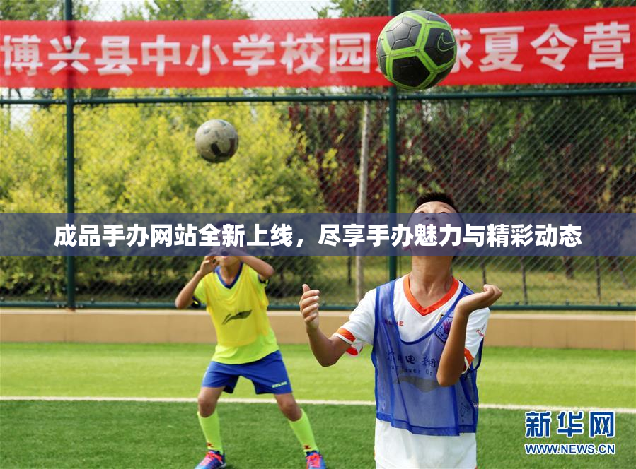 成品手办网站全新上线，尽享手办魅力与精彩动态