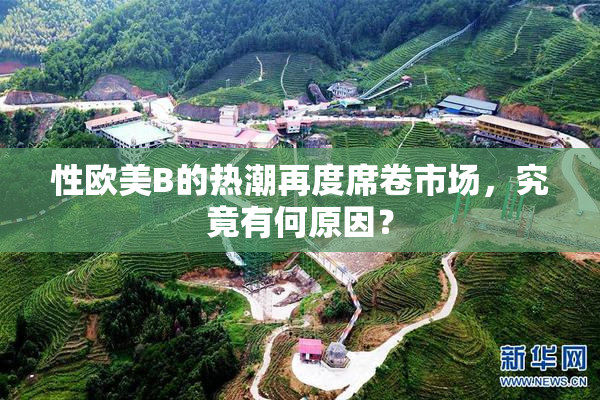 性欧美B的热潮再度席卷市场，究竟有何原因？