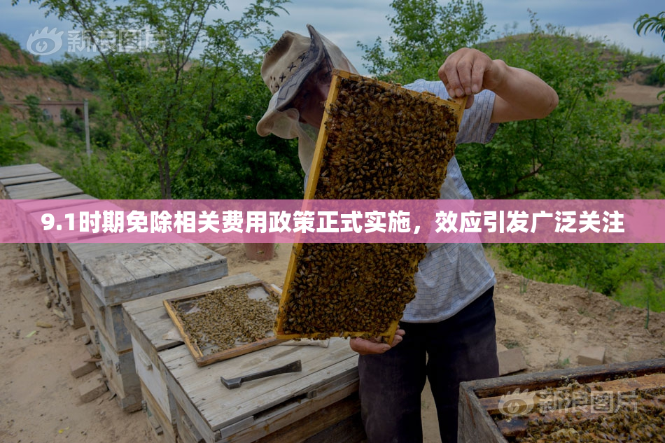9.1时期免除相关费用政策正式实施，效应引发广泛关注