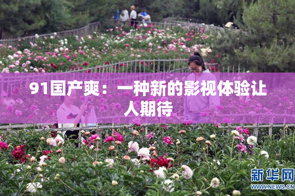 91国产爽：一种新的影视体验让人期待