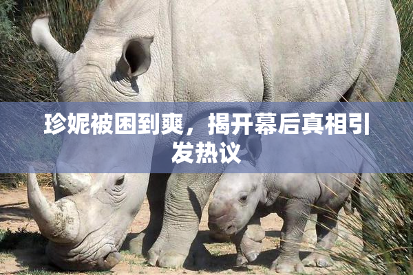 珍妮被困到爽，揭开幕后真相引发热议