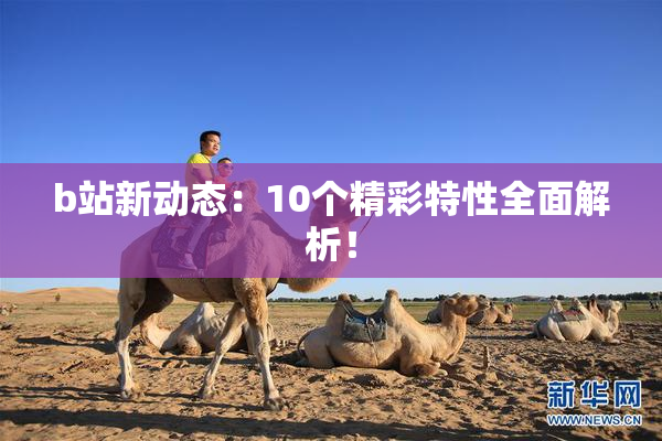 b站新动态：10个精彩特性全面解析！