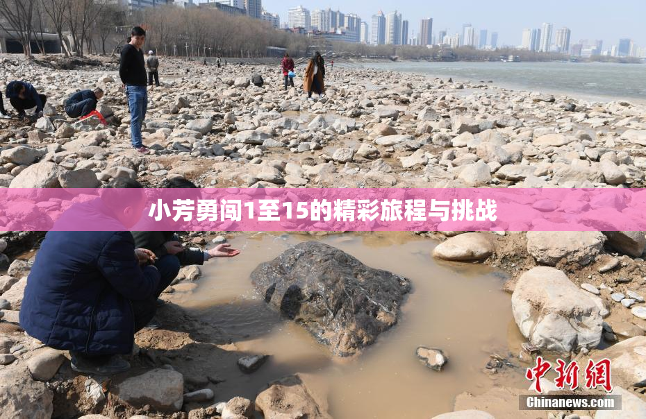 小芳勇闯1至15的精彩旅程与挑战