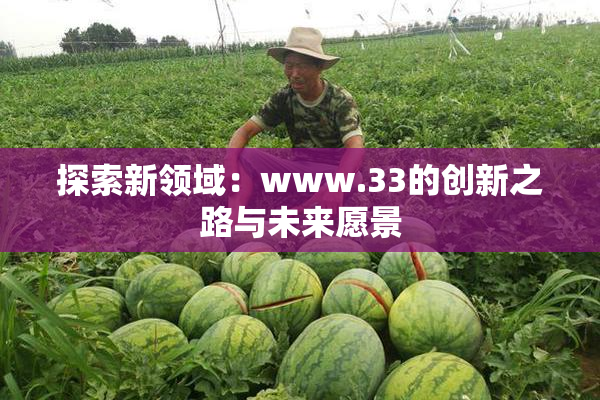 探索新领域：www.33的创新之路与未来愿景