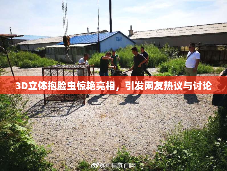 3D立体抱脸虫惊艳亮相，引发网友热议与讨论