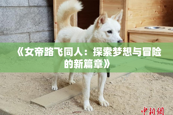 《女帝路飞同人：探索梦想与冒险的新篇章》