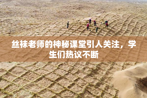 丝袜老师的神秘课堂引人关注，学生们热议不断