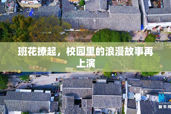 班花撩起，校园里的浪漫故事再上演