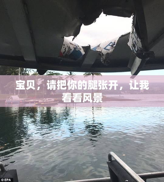 宝贝，请把你的腿张开，让我看看风景