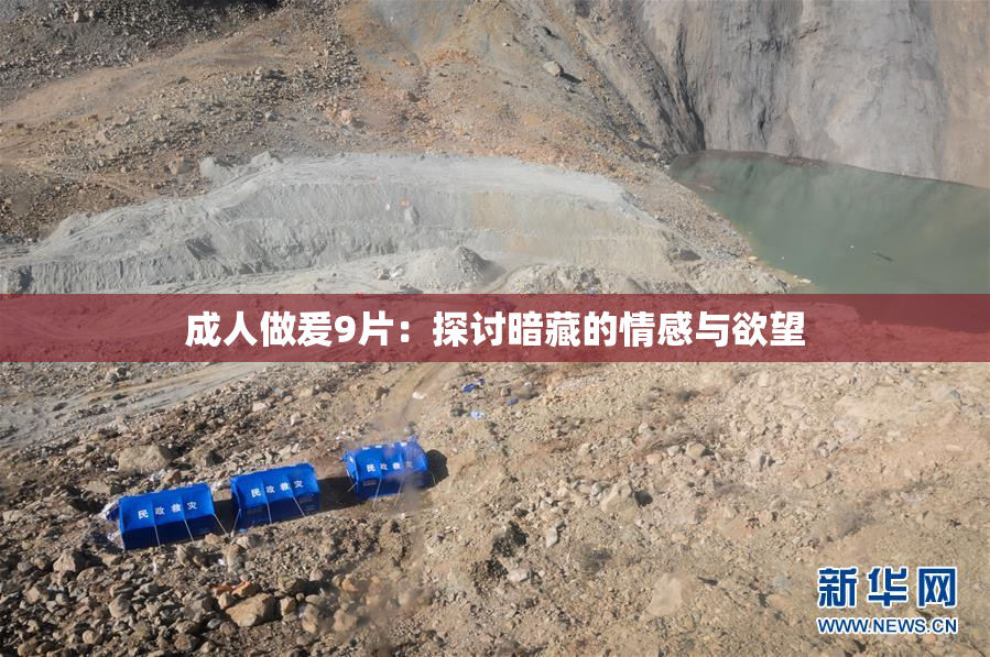 成人做爰9片：探讨暗藏的情感与欲望