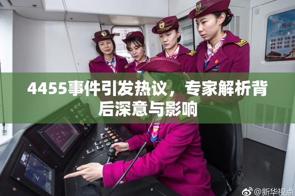 4455事件引发热议，专家解析背后深意与影响
