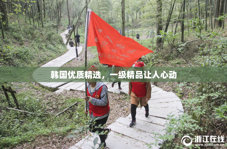 韩国优质精选，一级精品让人心动