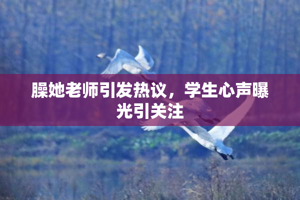 臊她老师引发热议，学生心声曝光引关注