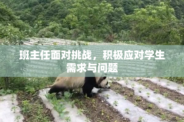 班主任面对挑战，积极应对学生需求与问题