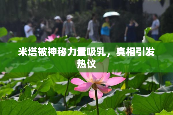 米塔被神秘力量吸乳，真相引发热议