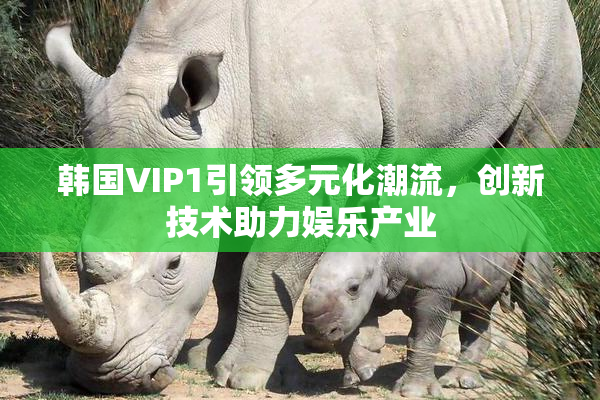 韩国VIP1引领多元化潮流，创新技术助力娱乐产业