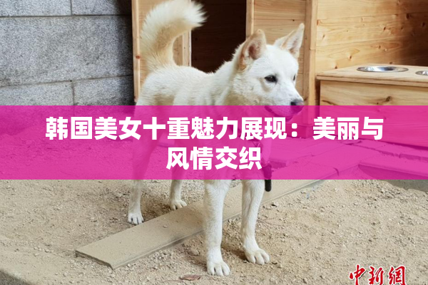 韩国美女十重魅力展现：美丽与风情交织