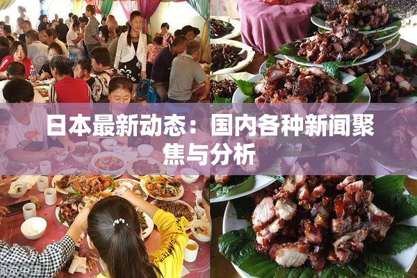 日本最新动态：国内各种新闻聚焦与分析