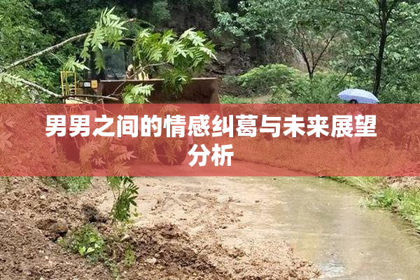 男男之间的情感纠葛与未来展望分析