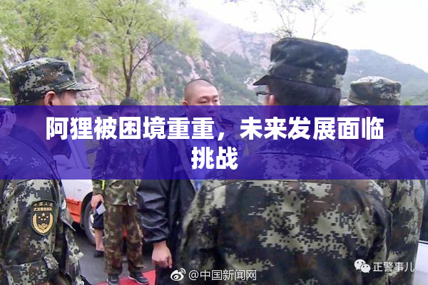 阿狸被困境重重，未来发展面临挑战