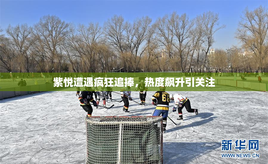 紫悦遭遇疯狂追捧，热度飙升引关注
