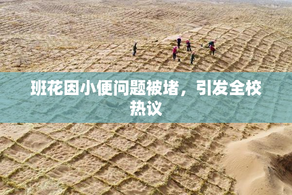 班花因小便问题被堵，引发全校热议