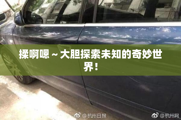 揉啊嗯～大胆探索未知的奇妙世界！