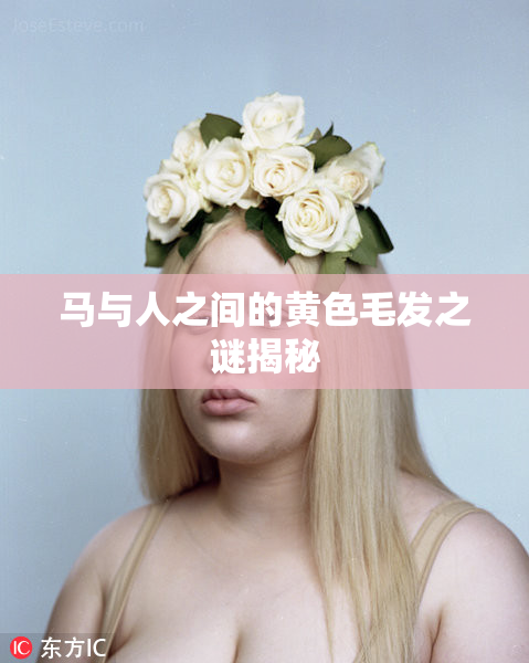 马与人之间的黄色毛发之谜揭秘