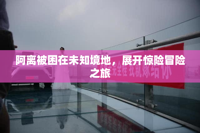 阿离被困在未知境地，展开惊险冒险之旅