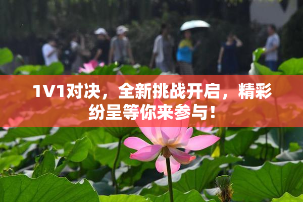 1V1对决，全新挑战开启，精彩纷呈等你来参与！