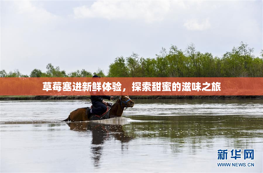 草莓塞进新鲜体验，探索甜蜜的滋味之旅