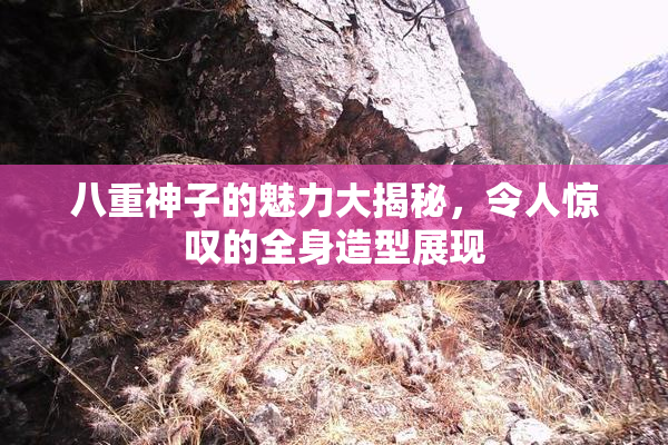 八重神子的魅力大揭秘，令人惊叹的全身造型展现