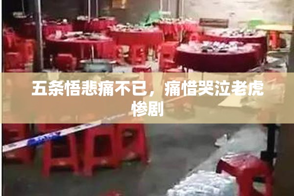 五条悟悲痛不已，痛惜哭泣老虎惨剧