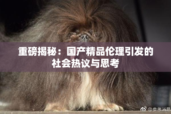 重磅揭秘：国产精品伦理引发的社会热议与思考