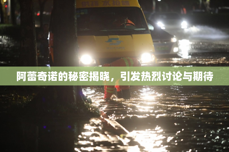阿蕾奇诺的秘密揭晓，引发热烈讨论与期待
