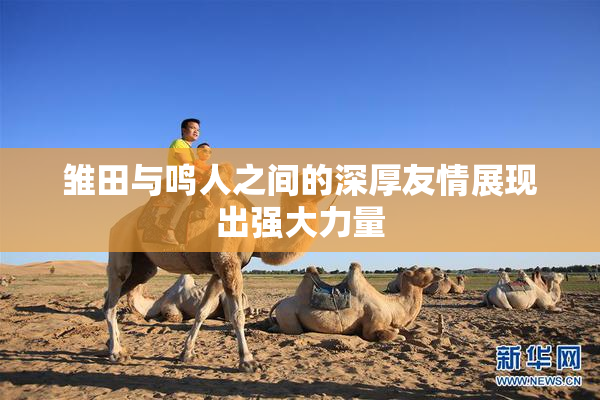 雏田与鸣人之间的深厚友情展现出强大力量