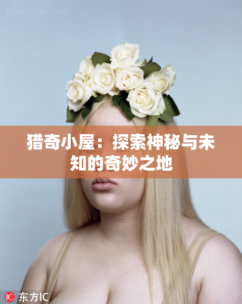 猎奇小屋：探索神秘与未知的奇妙之地