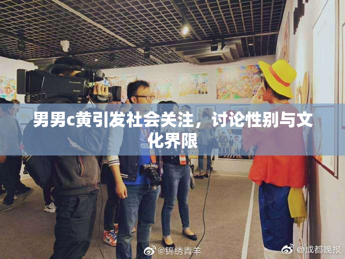 男男c黄引发社会关注，讨论性别与文化界限