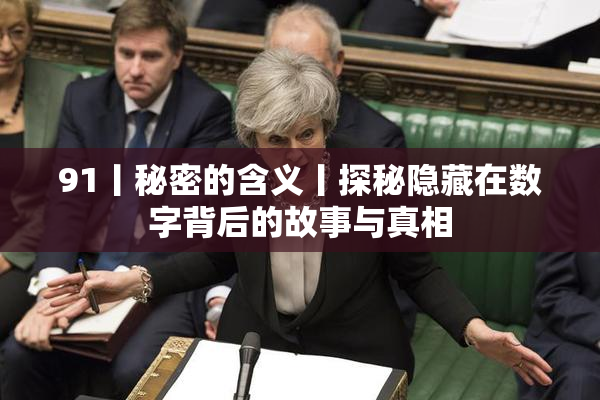 91丨秘密的含义丨探秘隐藏在数字背后的故事与真相
